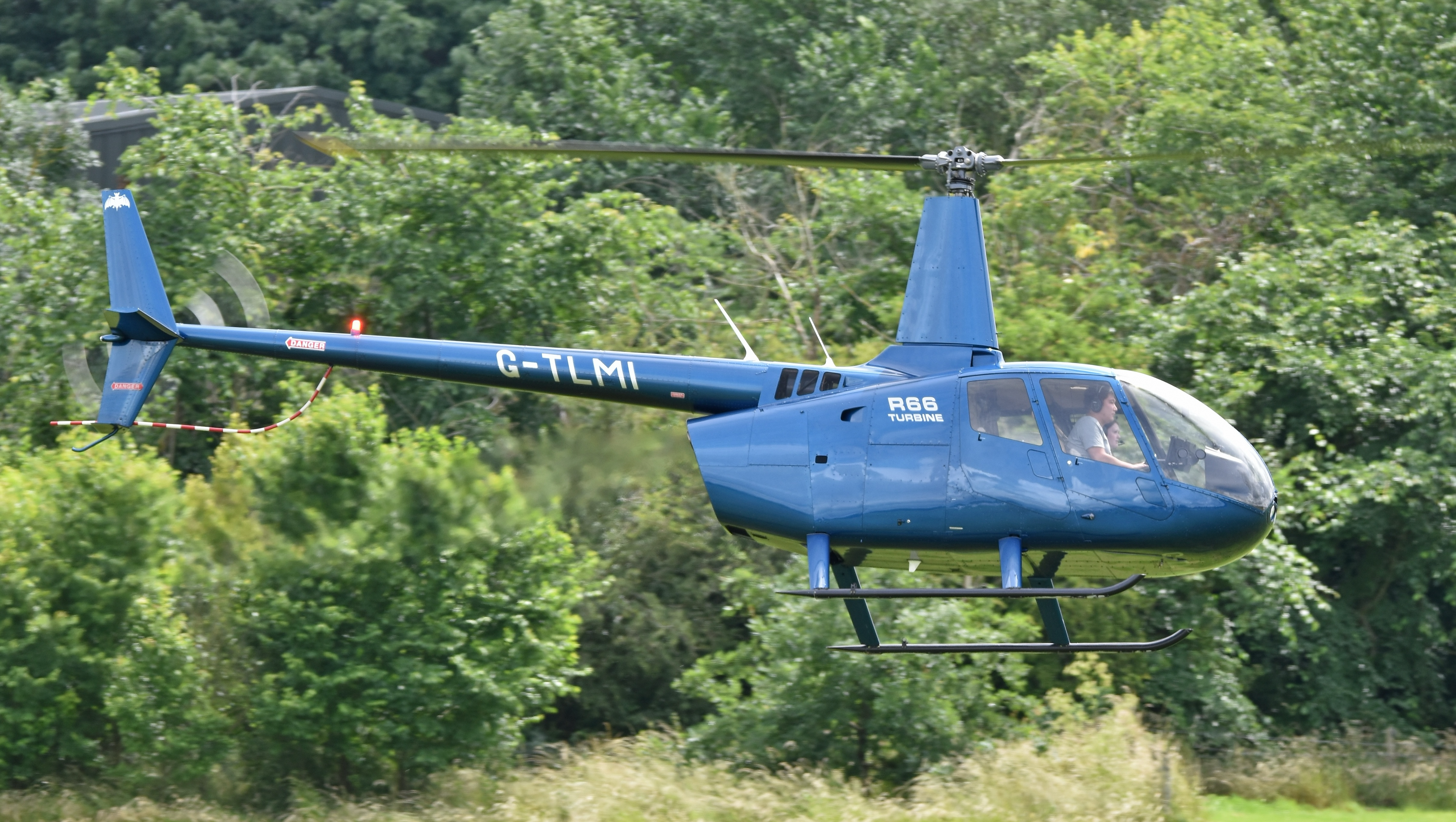 Robinson R66